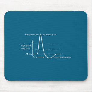 Action Potential Neuroscience Neurotransmitter Neu Mouse Mat