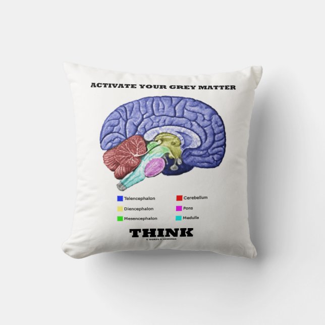 Activate Your Grey Matter Think Anatomical Brain Cushion (Front)