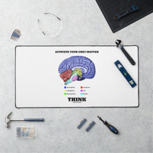 Activate Your Grey Matter Think Anatomical Brain Desk Mat