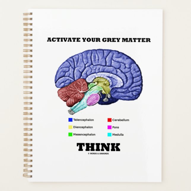 Activate Your Grey Matter Think Anatomical Brain Planner (Front)