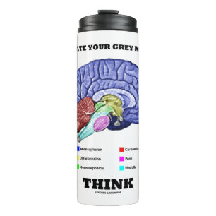 Activate Your Grey Matter Think Anatomical Brain Thermal Tumbler