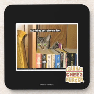 Activating Secret Room Door Coaster