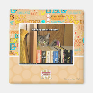 Activating Secret Room Door Magnet