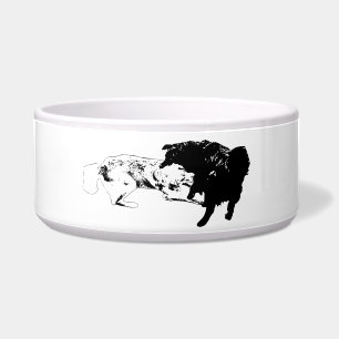 Active Meal, Bold Pet Bowl