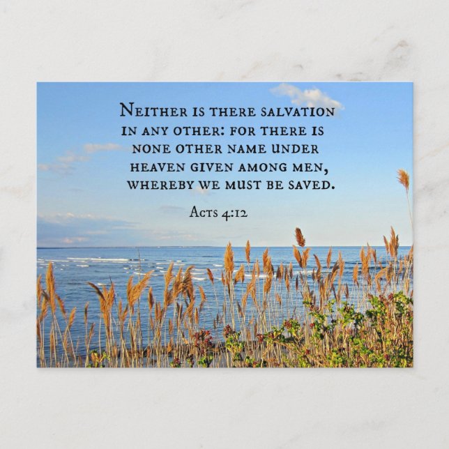 Acts 4:12 Neither is there salvation in any other. Postcard (Front)