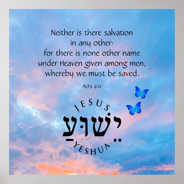 Acts 4:12  poster (Front)
