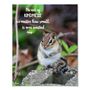 Acts Of Kindness Inspirational Quote Chipmunk Photo Print