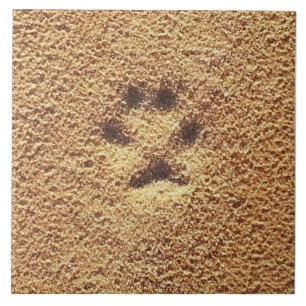 Actual Paw Print Tile