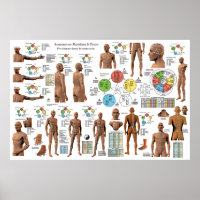 Acupuncture Meridian Point Locations Poster