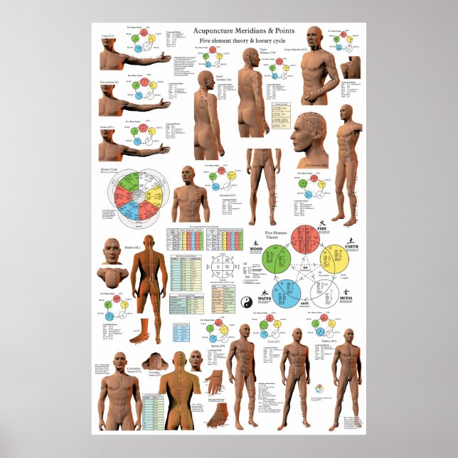 Acupuncture Meridian Points and Pathways Poster (Front)