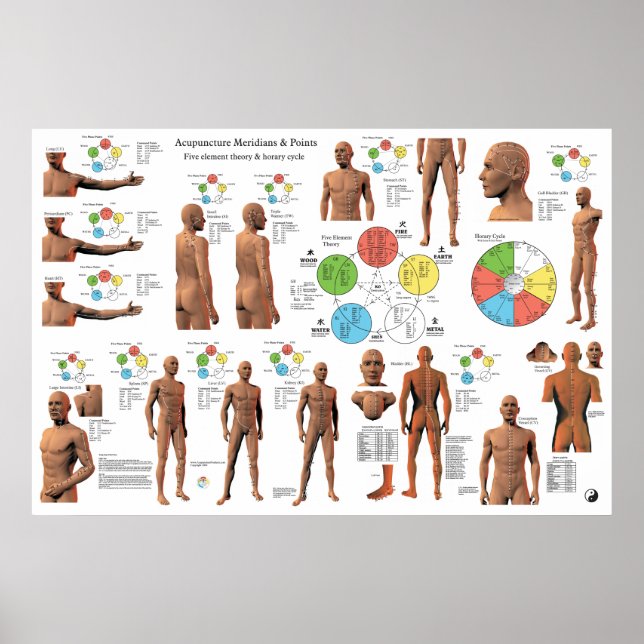 Acupuncture Meridian Points and Pathways Poster (Front)