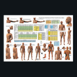 Acupuncture Meridian Points Classifications Chart<br><div class="desc">This poster shows the 12 main meridians, conception and governing vessels. All of the points are numbered. 11 point classification tables. The point categories are very helpful for students in study and acupuncturists for treatment. The tables (listed below) cover the five element points to special points. The acupuncture points are...</div>