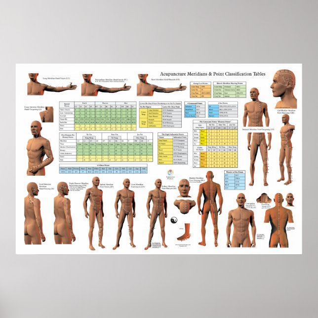 Acupuncture Meridian Points Classifications Chart (Front)
