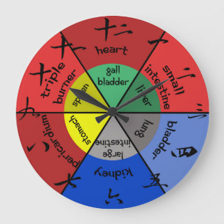 Acupuncture Organ Clock