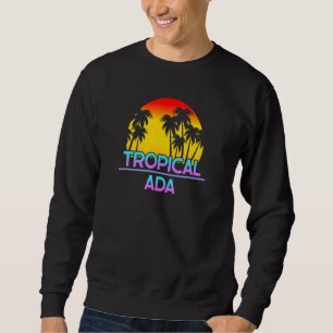 Ada Michigan Funny Ironic Weather Sweatshirt