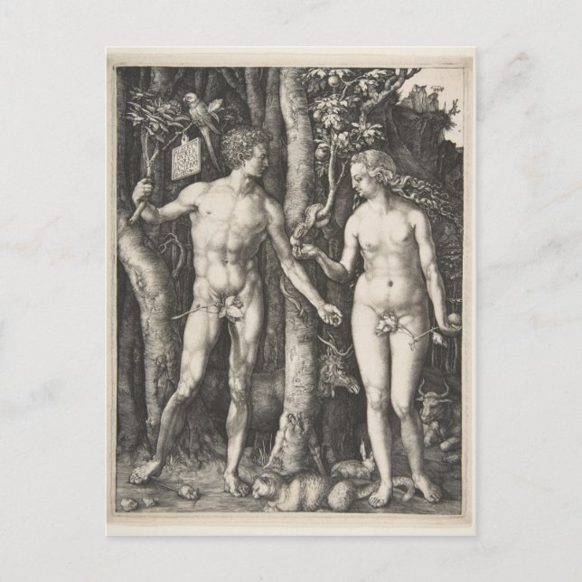 Adam and Eve, 1504 Postcard (Front)