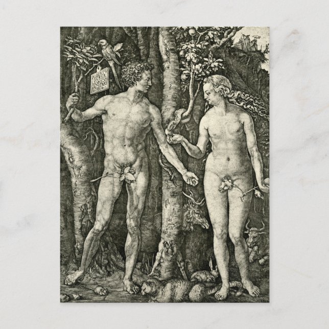 Adam and Eve by Albrecht Durer Postcard (Front)
