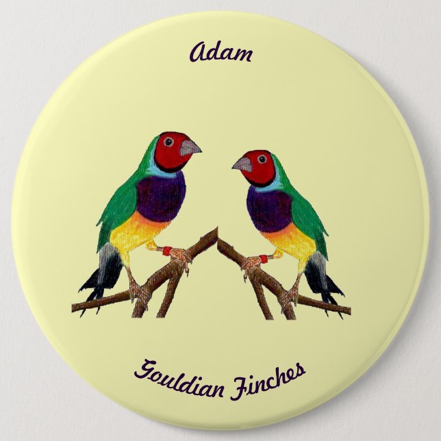 ADAM ~ Gouldian Finch ~ Personalized ~ 6 Cm Round Badge (Front)