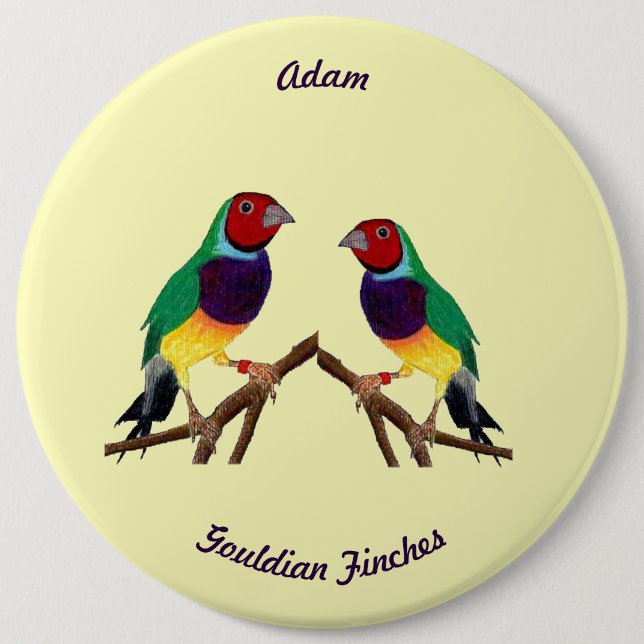 ADAM ~ Gouldian Finch ~ Personalized ~ 6 Cm Round Badge (Front)