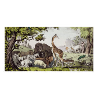 Adam Names the Creatures Poster