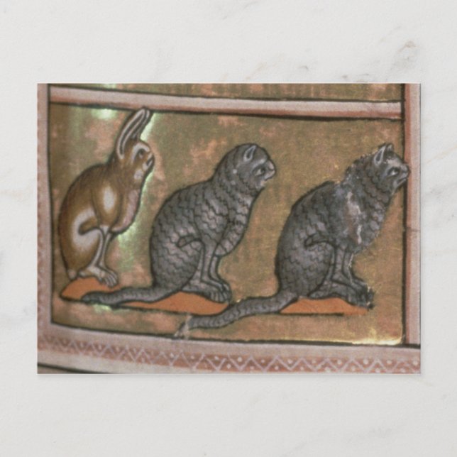 Adam naming the animals, of North Midlands Postcard (Front)