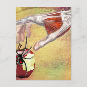ADAM'S APPLE.jpg Postcard