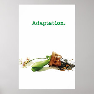 Adaptation 2002 Movie Poster