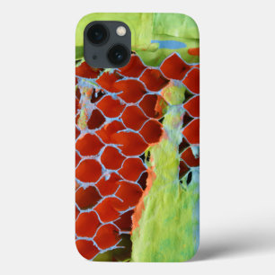Adaptive Reuse 2 iPhone 13 Case