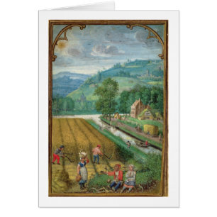 Add 18855 September: harvesting, ploughing and sow