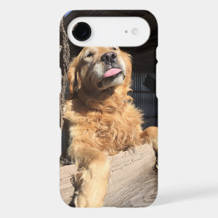 Add A Custom Favourite Pet or Family Photo