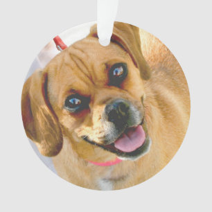 Add A Photo And Any Text On Back Holiday Ornament