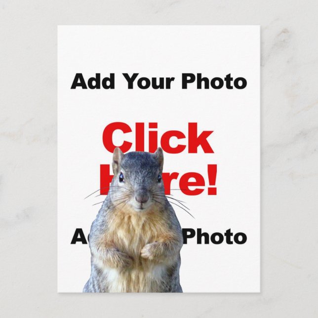 Add A Squirrel Custom Photo Postcard (Front)