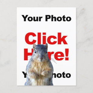 Add A Squirrel Custom Photo Postcard