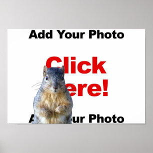 Add A Squirrel Custom Poster