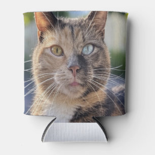 Add Cat Photo Customise Can Cooler