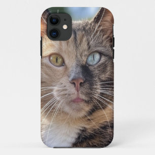 Add Cat Photo Customise iPhone 11 Case