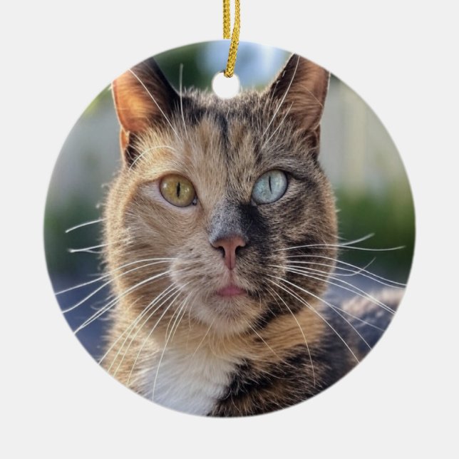 Add Cat Photo Customise Ceramic Tree Decoration (Front)