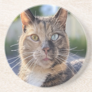 Add Cat Photo Customise Coaster