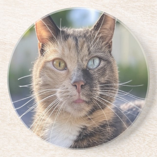 Add Cat Photo Customise Coaster (Front)