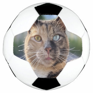 Add Cat Photo Customise Football