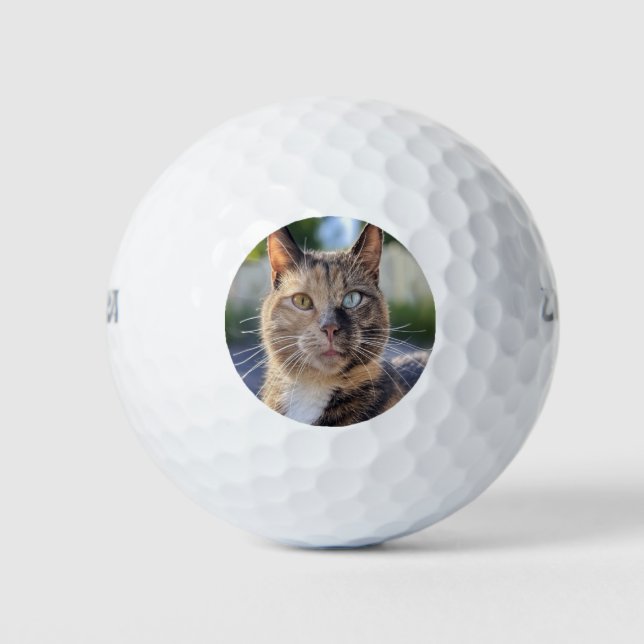 Add Cat Photo Customise Golf Balls (Front)