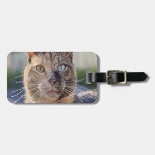 Add Cat Photo Customise Luggage Tag