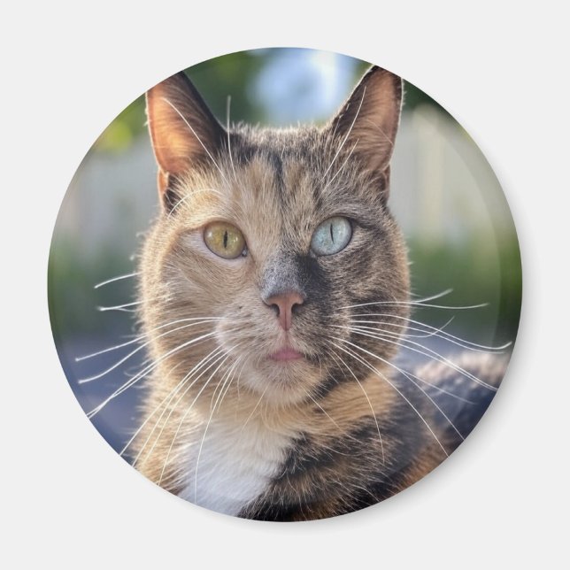 Add Cat Photo Customise Magnet (Front)