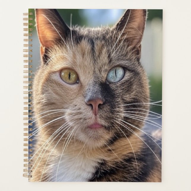 Add Cat Photo Customise Planner (Front)