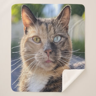 Add Cat Photo Customise Sherpa Blanket
