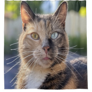 Add Cat Photo Customise Shower Curtain