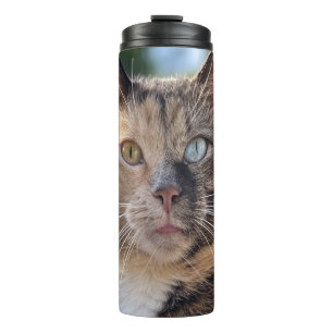 Add Cat Photo Customise Thermal Tumbler