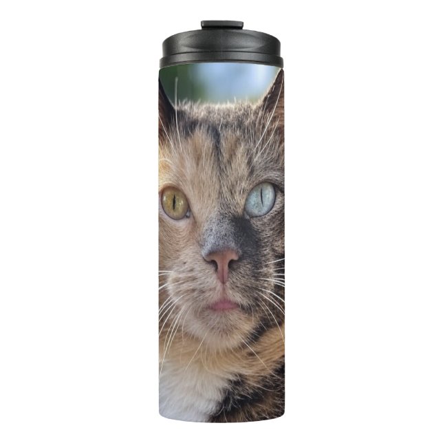 Add Cat Photo Customise Thermal Tumbler (Front)