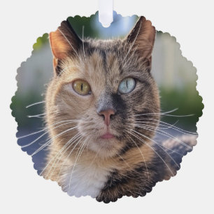 Add Cat Photo Customise Tree Decoration Card