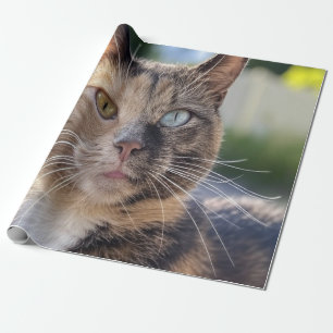 Add Cat Photo Customise Wrapping Paper